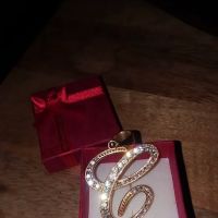 Pinhas Gold ico
