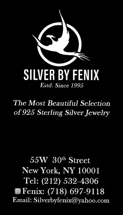 Silver By Fenix 5