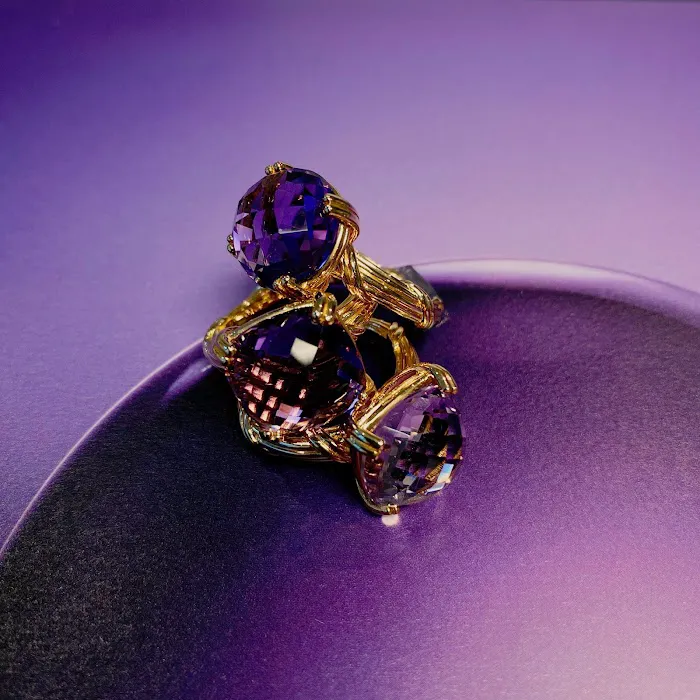 Peter Thomas Roth Jewelry 4