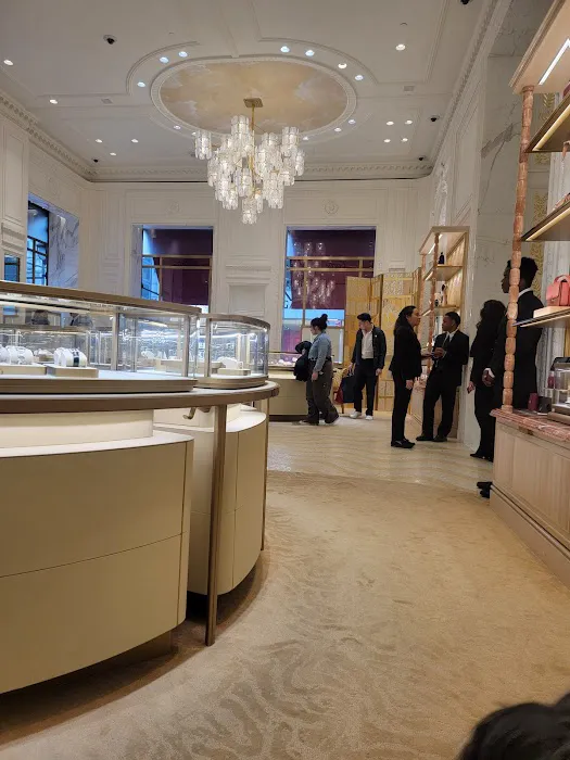 Cartier Fifth Avenue Mansion 4