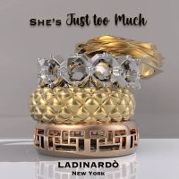 Ladinardò ico