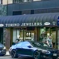Torino Inc ico