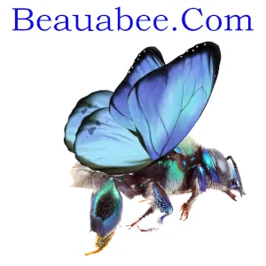 Beauabee.Com 4