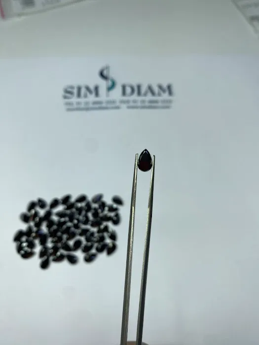 Sim NY Corp 4