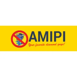 Amipi Inc 5