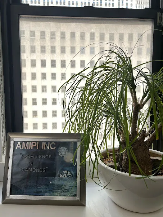 Amipi Inc 5