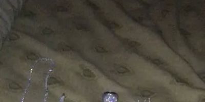 Diamonds by Siag