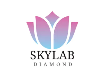 Skylab Diamond 4