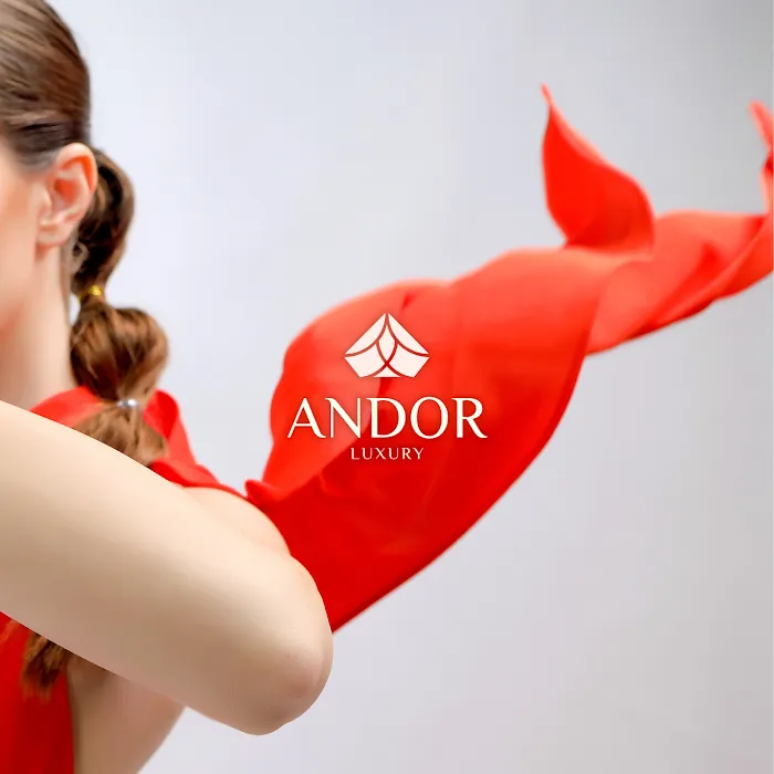 Andor Luxury Inc 4