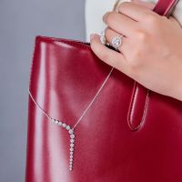 Andor Luxury Inc
