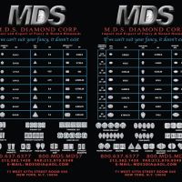 M.D.S. DIAMOND CORP. ico