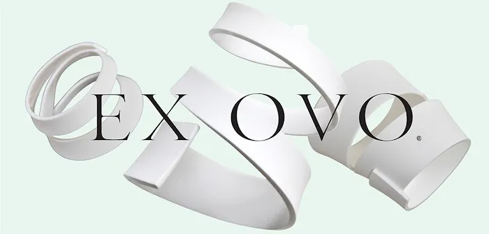 Ex Ovo Inc 4