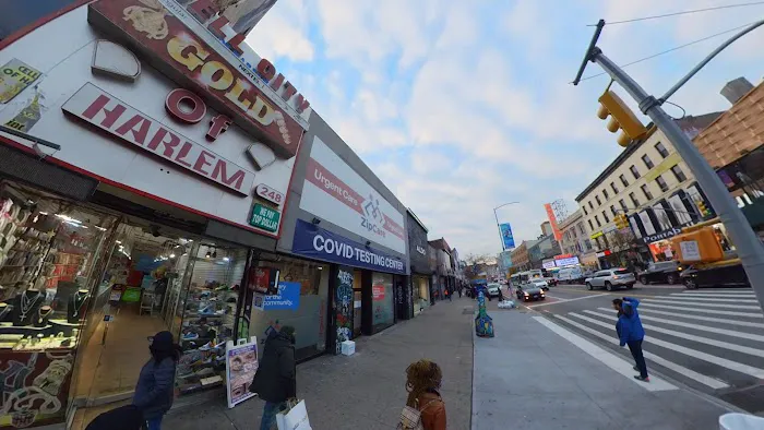 Gold of Harlem 4