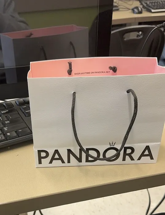 Pandora Jewelry 4
