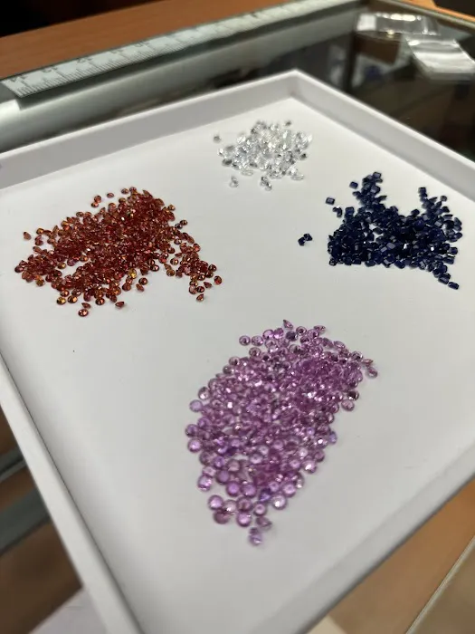 B.V. Gems Inc. 4