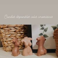 Dani_shop ico