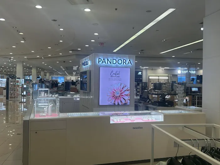 Pandora Jewelry 5