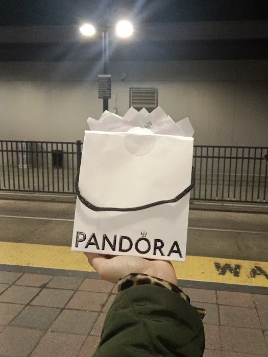 Pandora Jewelry 5
