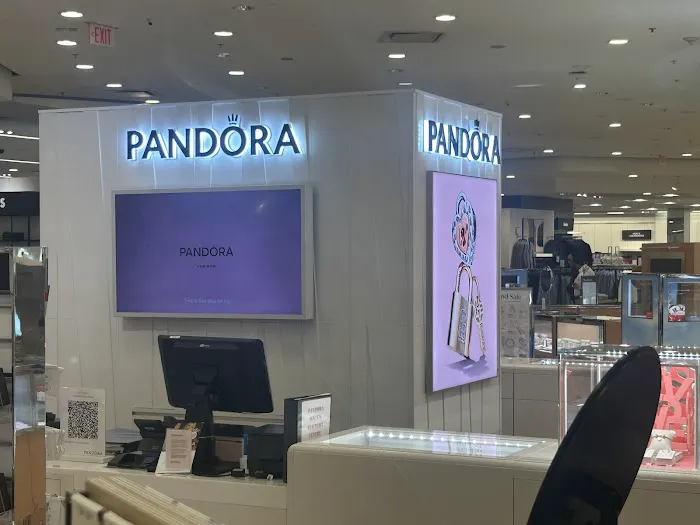 Pandora Jewelry 5
