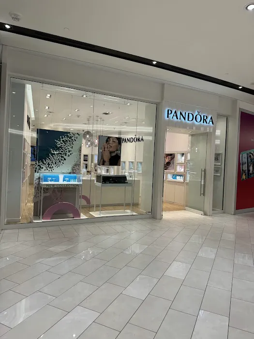 Pandora Jewelry 4