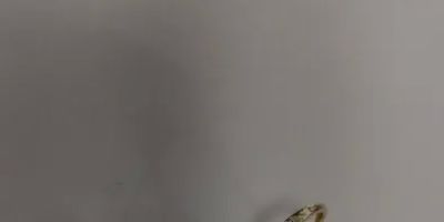 Rama Jewelers