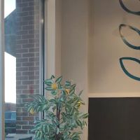 Bergen County Gold & Silver ico