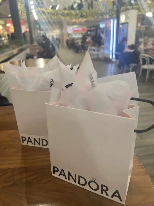 Pandora Jewelry 4