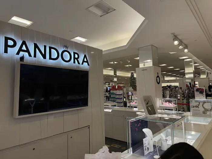 Pandora Jewelry 4
