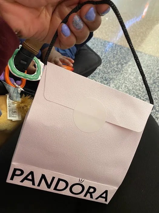 Pandora Jewelry 4
