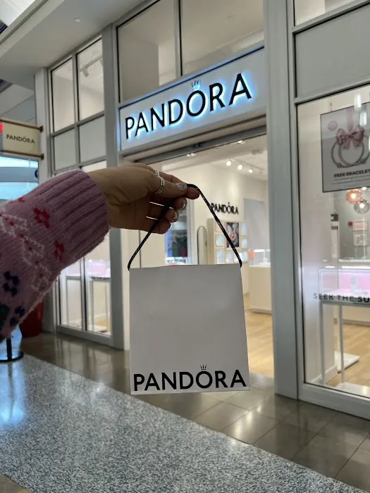 Pandora Jewelry 4