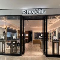Blue Nile ico