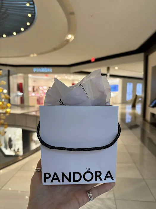 Pandora Jewelry 4