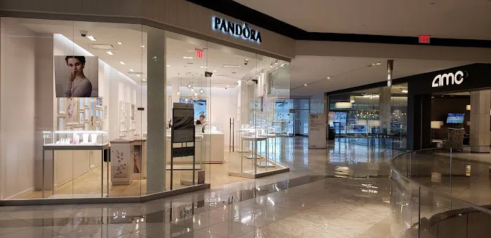 Pandora Jewelry 4