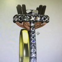 Paramus Diamond Center ico