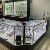 Jewelevina Jewelry ico