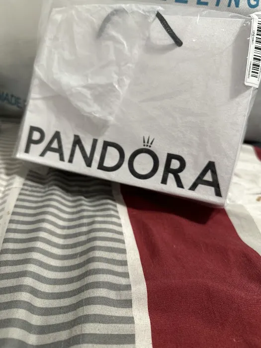 Pandora Jewelry 4