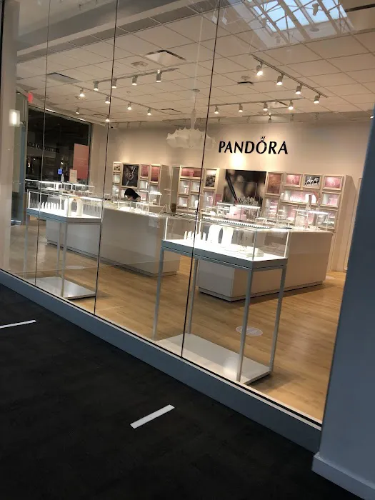 Pandora Jewelry 4