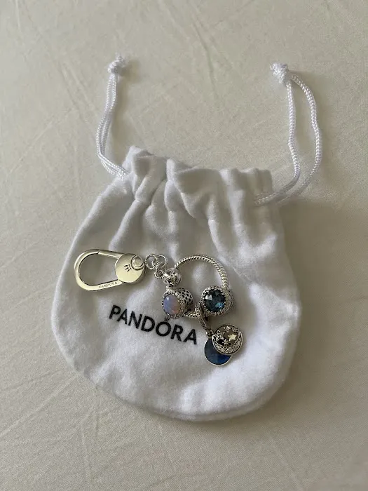 Pandora Jewelry 4