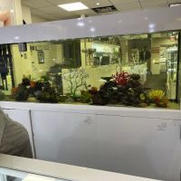 Malsons Jewelers ico