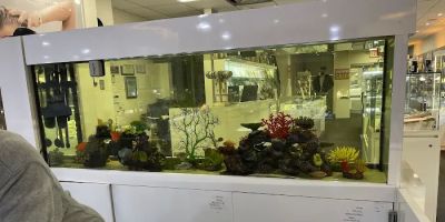 Malsons Jewelers