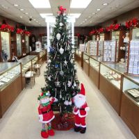 De George Jewelers ico