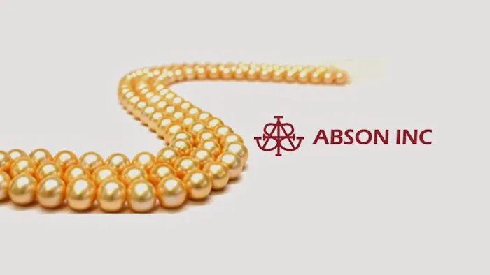 Abson, Inc. 4
