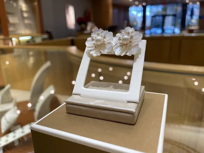 Braunschweiger Jewelers 4