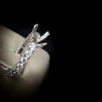 Diana/Labelle Jewelry ico