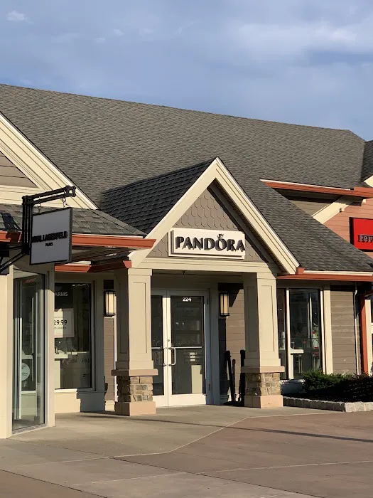 Pandora Jewelry 4