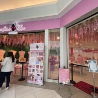 ALISAN JEWELERS ico