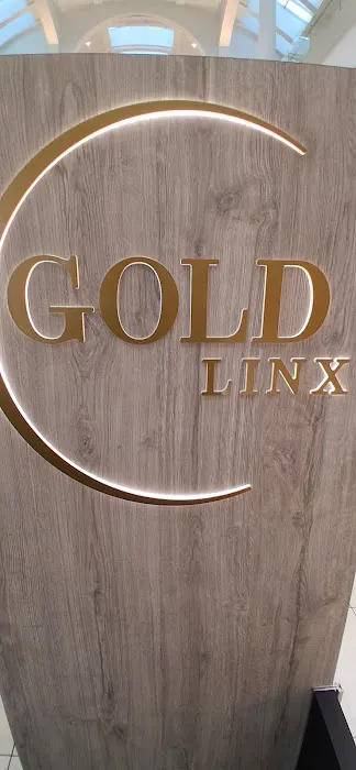Gold Linx 2# 4