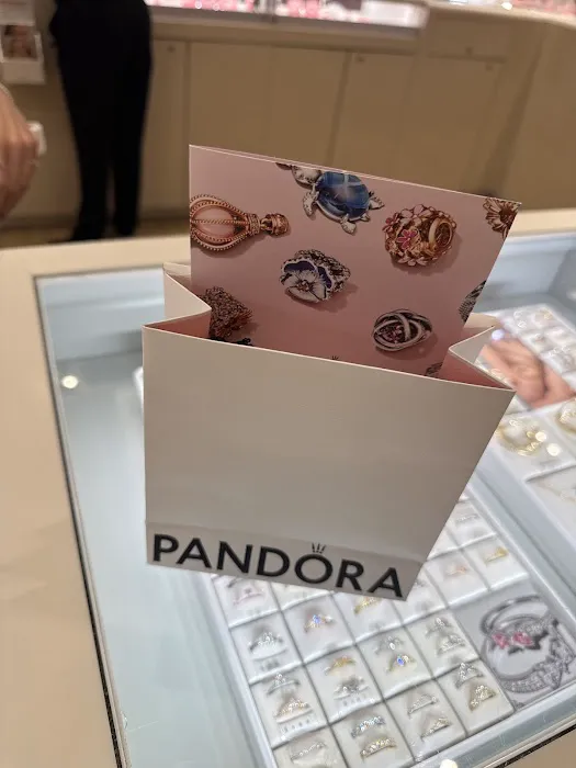 Pandora Jewelry 5