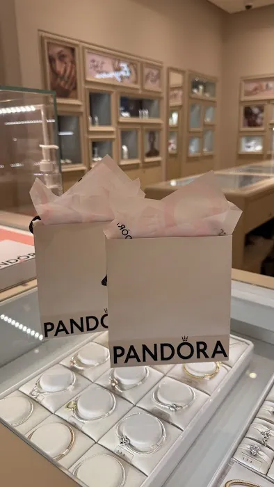 Pandora Jewelry 5