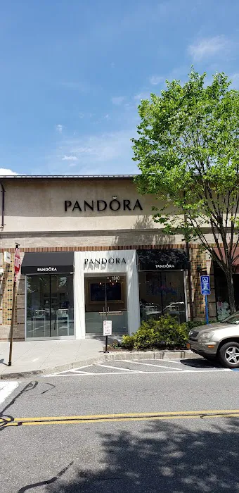 PANDORA Jewelry 5